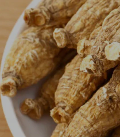 许氏西洋参:花旗参的寒凉属性与食用指南