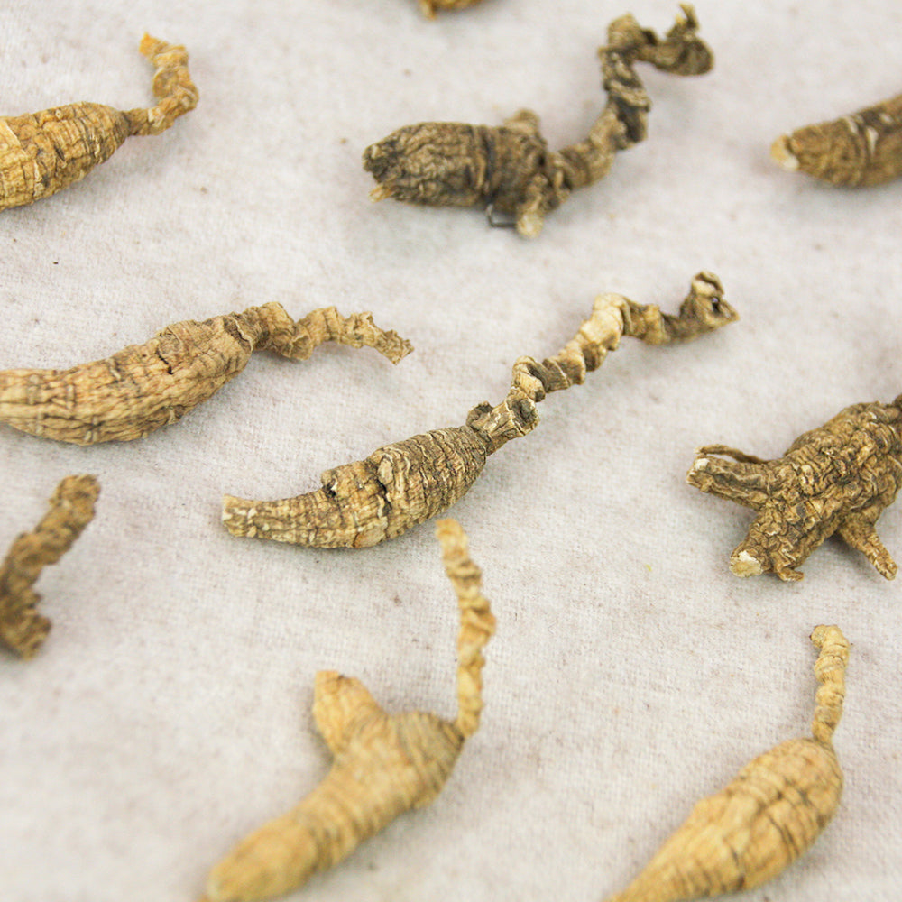 【许氏全球购】野生花旗参圆短中小号2盎司