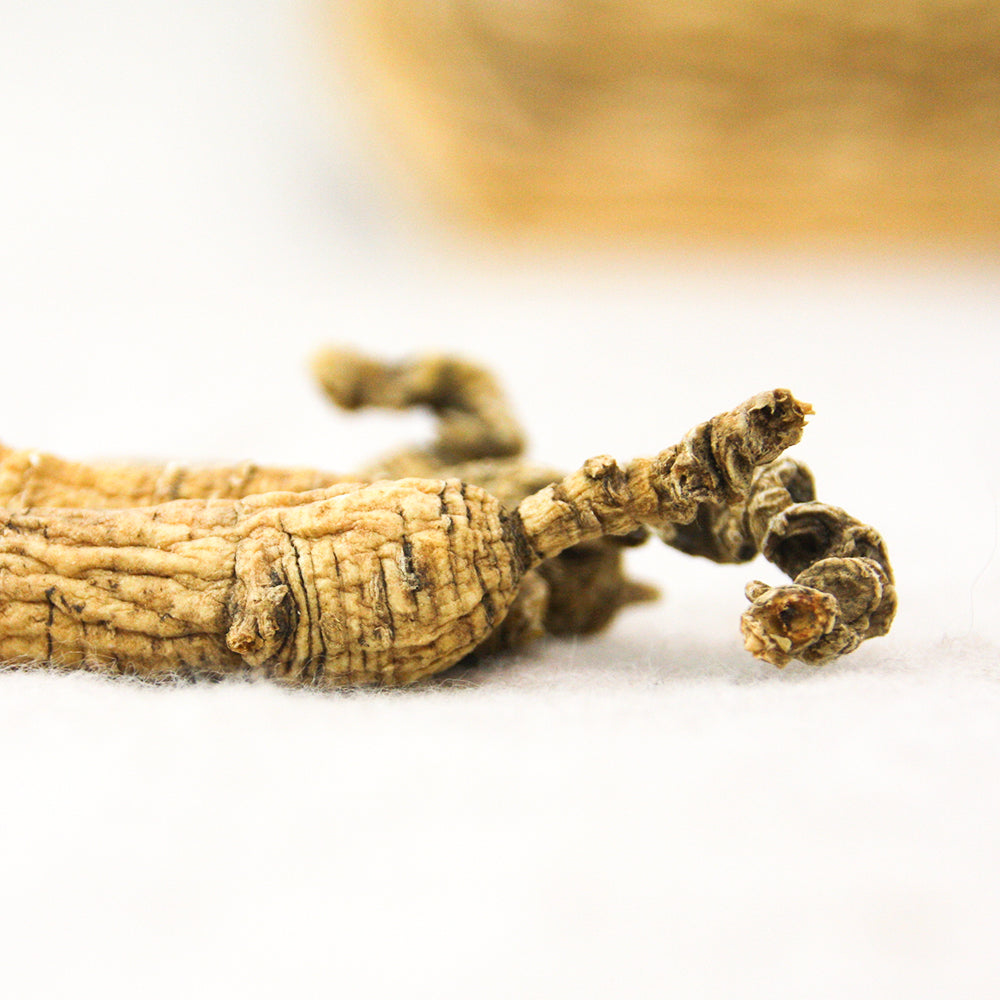 【许氏全球购】野生花旗参短枝大号2盎司