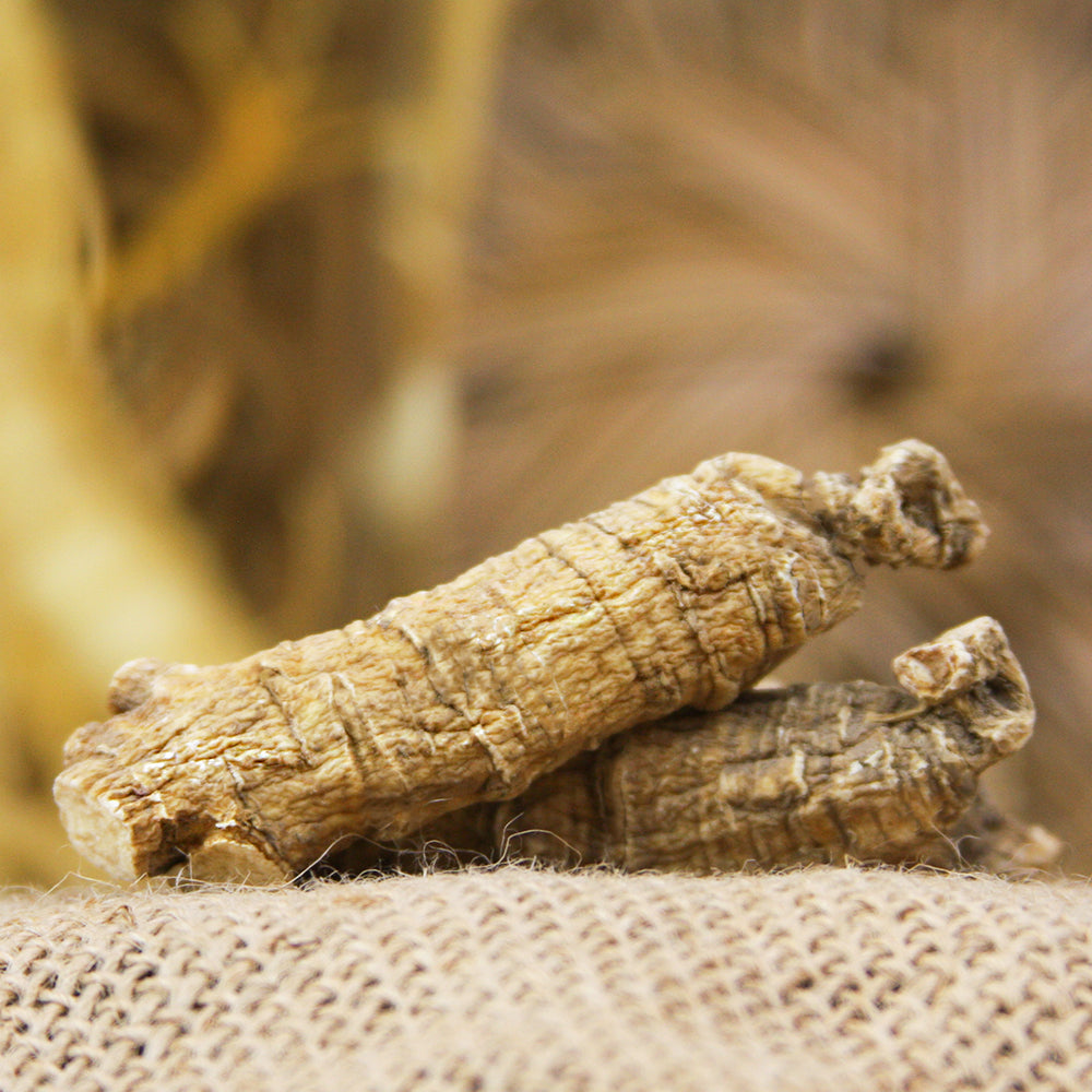 【许氏全球购】花旗参短枝中号4盎司