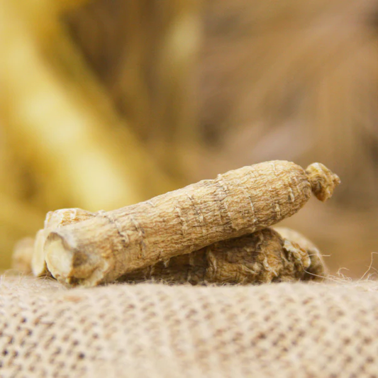 揭秘西洋参的日常食用量：许氏花旗参的智慧之选